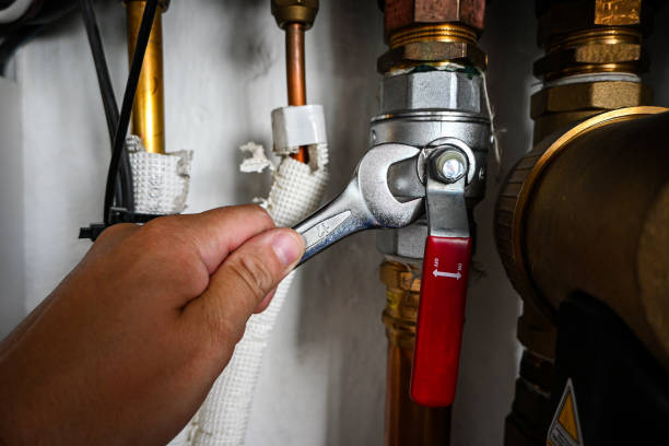 Best Septic Systems  in Pimlico, SC